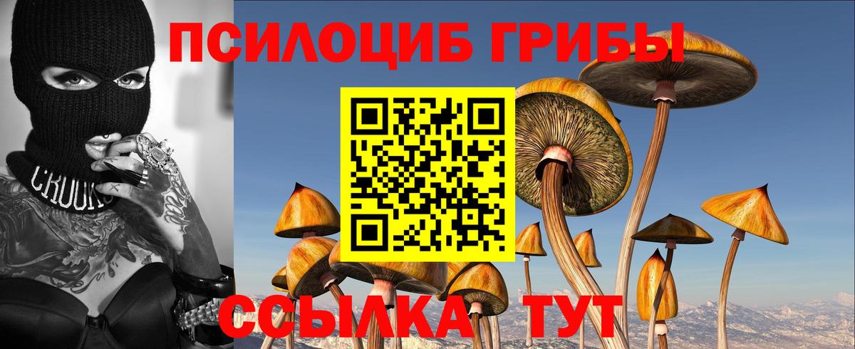 Псилоцибиновые грибы ЛСД Самара
