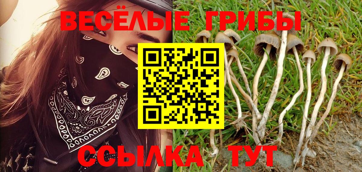 Псилоцибиновые грибы Magic Shrooms  Вход с VPN  Самара 